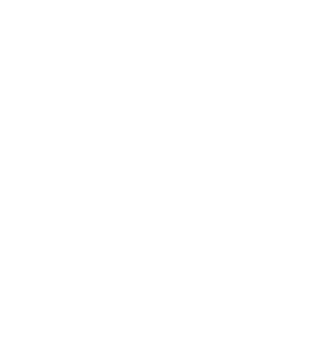 RachiTool